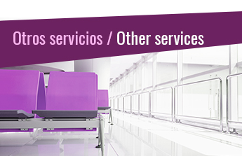Acceso PDF Otros Servicios - Access PDF other service 